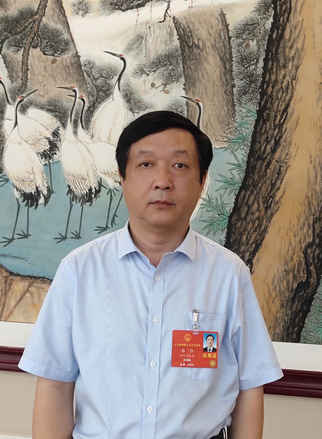 2.全国人大代表、中国科学院院士、火狐网电脑版_火狐(中国)副总经理杨伟